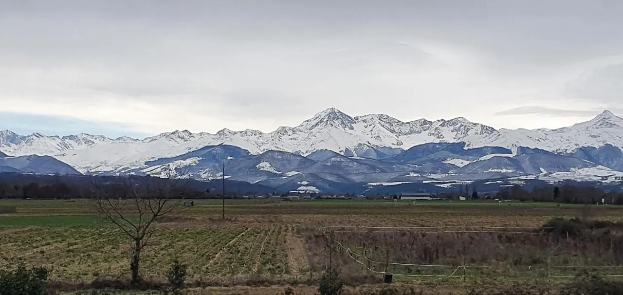 Apartament L'Ecrin Des Pyrenees Soues - Tarbes